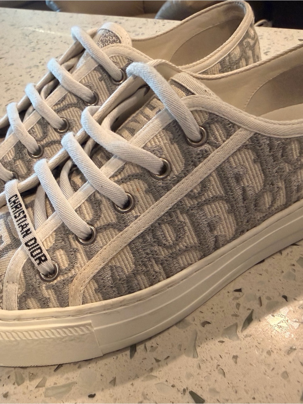 Walk'n'Dior Sneaker
Stone Gray Dior Oblique Embroidered Cotton